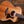 Taylor 214ce-K DLX Koa
