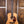 Eastman E1D-12-DLX 12-String