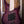 Dingwall Combustion 5-3 Ultra Violet