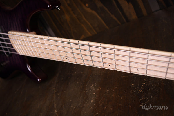 Dingwall Combustion 5-3 Ultra Violet