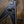 Epiphone Prophecy Flying V Obsidian Storm Satin