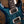 PRS DGT Birds Cobalt Blue
