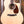 Larrivee LV-03R Recording Series