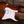 Suhr Standard Plus Bengal Burst