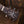 Larrivée OM-03R Recording Series