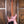 Ibanez TOD10 Tim Henson Signature Metallic Mauve