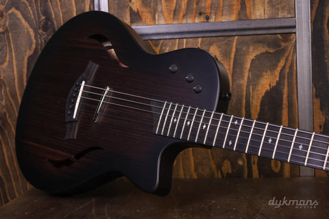 Taylor T5z Classic Rosewood