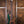 Dingwall SP1 5-String Dark Candy Green