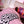 Sandberg California TM5 Ida Nielsen Strawberry Milkshake Limited Edition