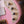 Sandberg California TM5 Ida Nielsen Strawberry Milkshake Limited Edition