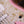 Sandberg California TM4 Ida Nielsen Strawberry Milkshake Limited Edition
