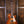 Gibson Les Paul Standard '50s Dirty Lemon Burst