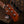 Sire Marcus Miller Z7 5-String Natural