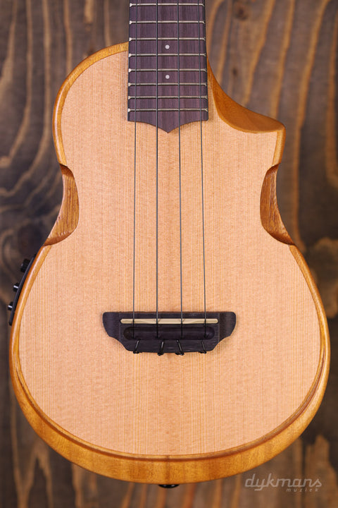 Ibanez AUC10E Ukulele