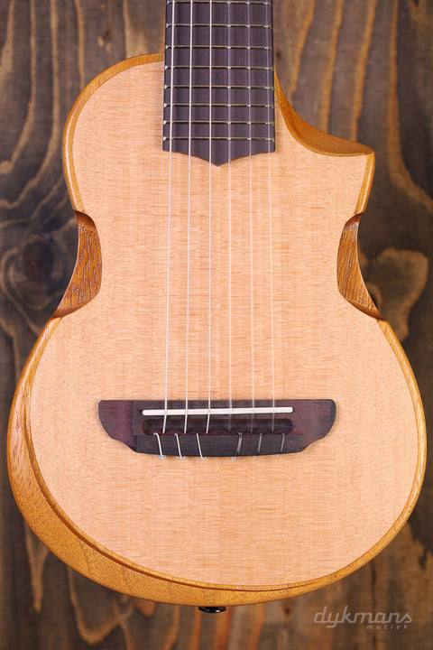 Ibanez AUP10N Ukulele