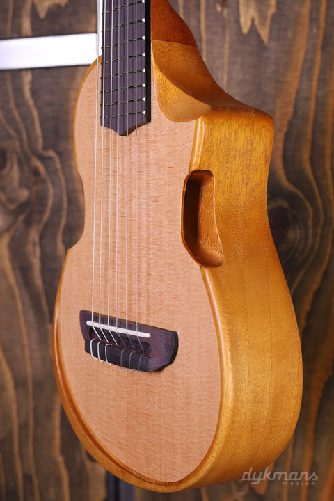 Ibanez AUP10N Ukulele