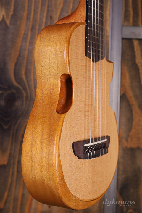 Ibanez AUP10N Ukulele