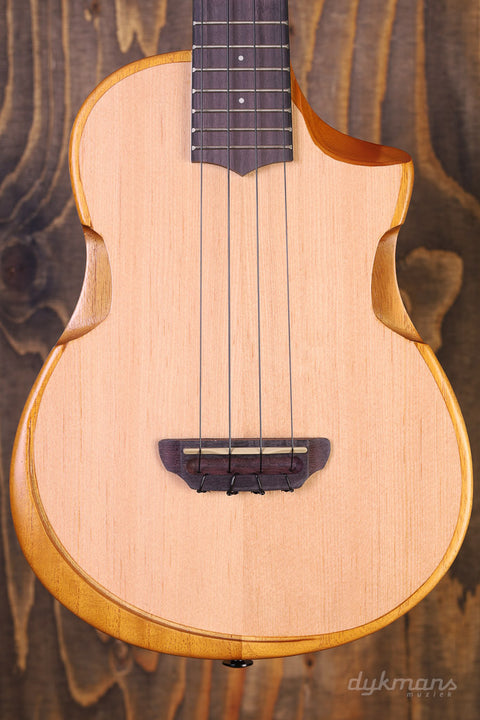 Ibanez AUT10 Ukulele