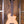 Ibanez AUC10EOPN Ukulele PRE-ORDER!