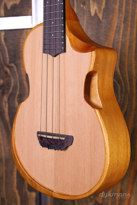 Ibanez AUT10 Ukulele