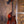 Ibanez AUC14OVL Ukulele PRE-ORDER!