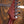 Suhr Pete Thorn Gold PRE-OWNED