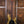 Music Man Stingray Classic Eldorado Gold 2010 PRE-OWNED!