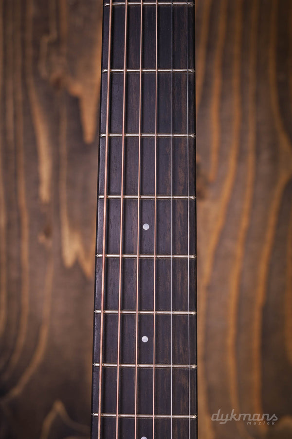 Eastman E1 OM Special