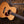 Eastman E1 OM Special