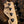Sandberg California II TM4 SL Paulownia Matt Tobacco Sunburst