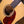 Eastman E1 D-Special