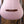 Ibanez FRH10NRGF
