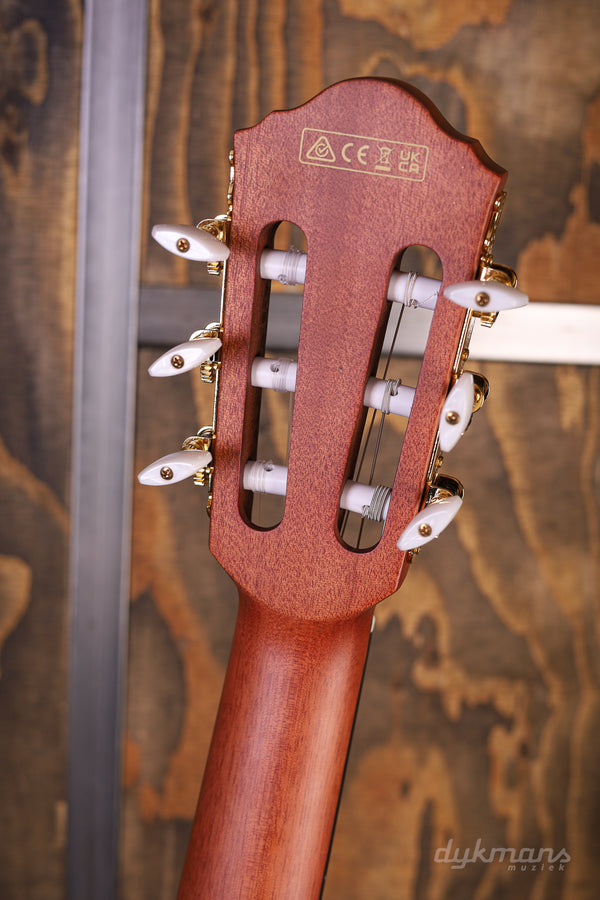 Ibanez FRH10NRGF