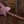Ibanez FRH10NRGF