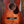 Eastman E1P-CLA-LTD 