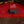 Sandberg BassTheWorld Soft Aged Tobacco PRE-ORDER