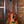 Taylor 114ce Sunset Boulevard Limited Edition