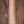 Fender Custom Shop Limited Edition 1965 Dual-Mag Stratocaster Journeyman Relic
