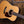 Eastman E20D-MR-TC