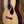 Eastman E20OO
