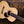 Eastman E20OO