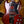 Epiphone 1964 SG Standard Reissue with Maestro Vibrola Cherry Red