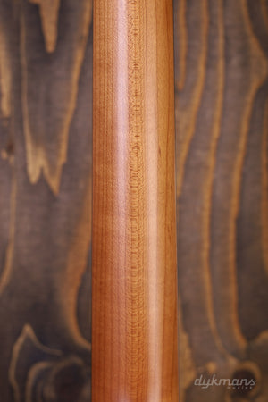 Taylor 117e