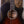 Taylor Builder's Edition 324ce