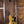 Gibson SG Standard '61 TV Yellow