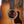 Taylor 514ce Urban Ironbark