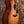 Taylor 514ce Urban Ironbark