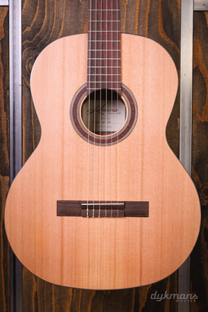 Kremona Camellia 4/4