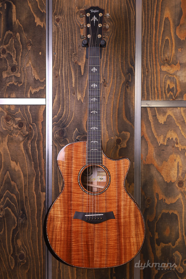 Taylor 50th Anniversary 924ce Koa + Approx. 74 Amplifier Set