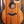 Taylor 50th Anniversary 924ce Koa + Approx. 74 Amplifier Set
